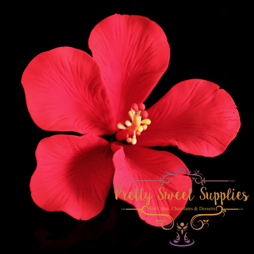 HIBISCUS Red Sugar Flower