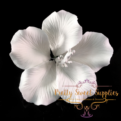 HIBISCUS White Sugar Flower